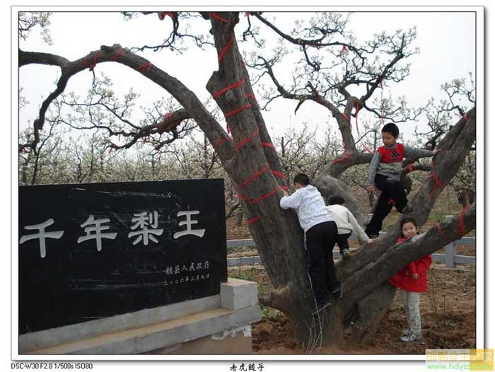 魏县旅游景点--千年古县